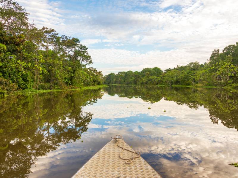 Guia vincula GD à eletrificação de barcos na Amazônia